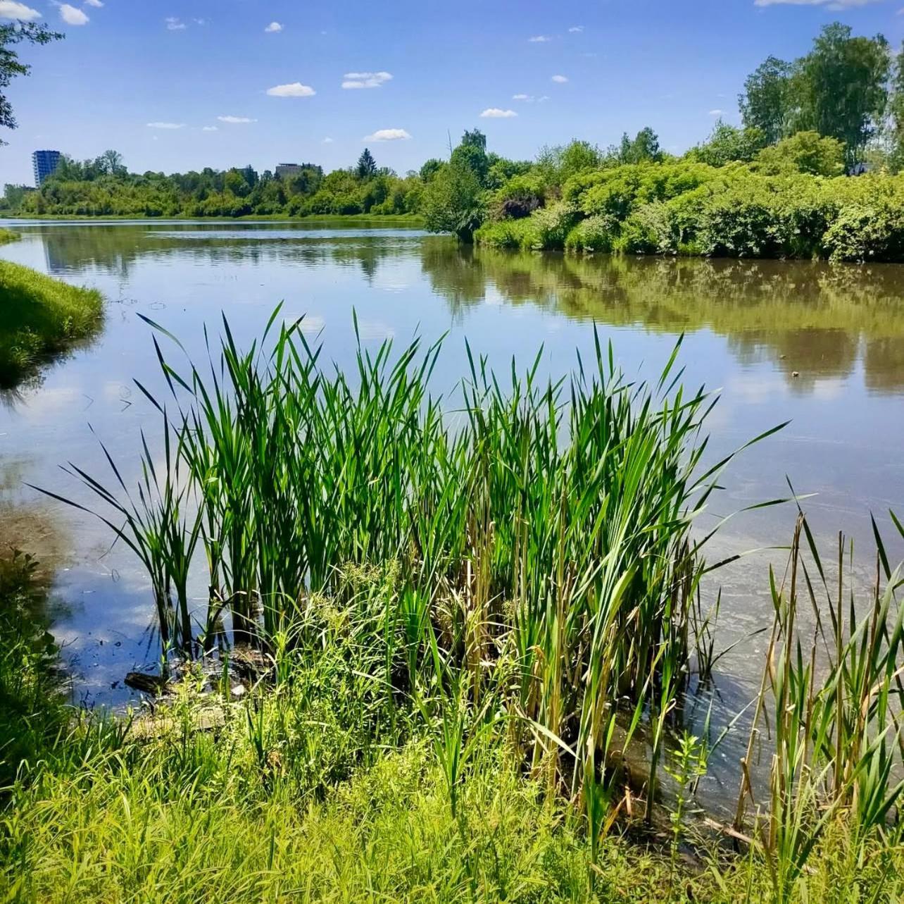 Apartamenty Kielce- Apartament Saphire Przy Zalew Kielecki, Faktura, Parking, Centrum Kültér fotó